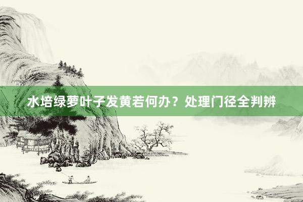 水培绿萝叶子发黄若何办？处理门径全判辨