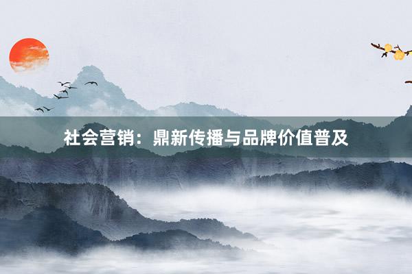 社会营销：鼎新传播与品牌价值普及