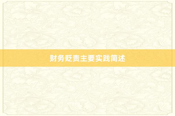 财务贬责主要实践简述